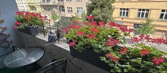 Apartment Four Year Seasons
