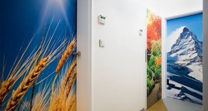 Apartment Four Year Seasons