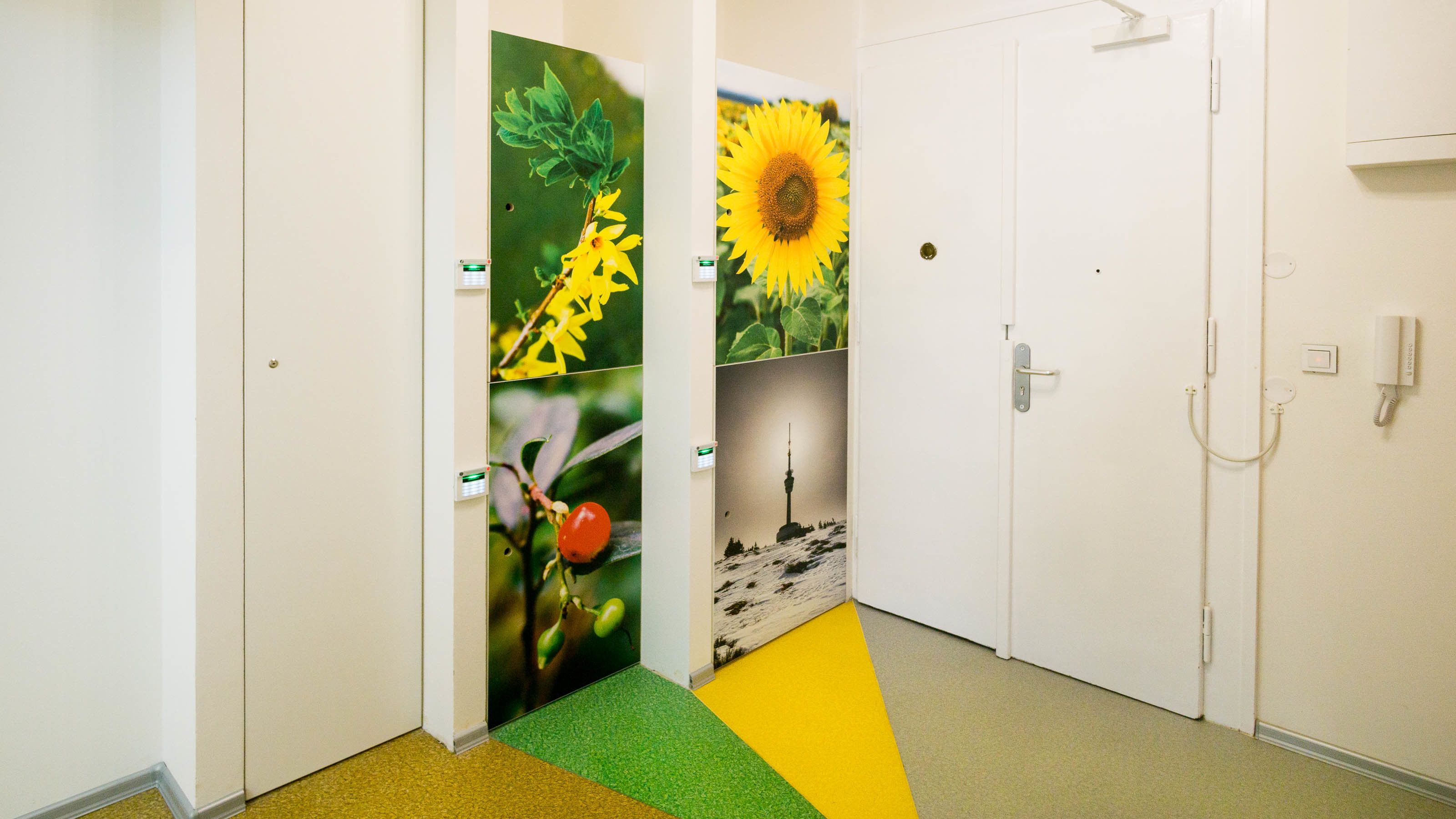 Un couloir recouvert d’une moquette verte qui mène à une porte ornée d’une fresque représentant des tournesols.
