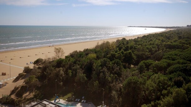 A beach with a sandy shore, a clear sky, and dense green trees in the foreground. - Residence Bianco e Nero (Lignano Sabbiadoro)