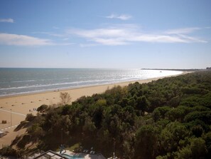A beach with a sandy shore, a clear sky, and dense green trees in the foreground. - Residence Bianco e Nero (Lignano Sabbiadoro)