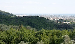 A view of a city from a hilltop with dense forest in the foreground and a sprawling urban area in the background. - Ca' Bianca Bed & Breakfast (Fosdinovo)
