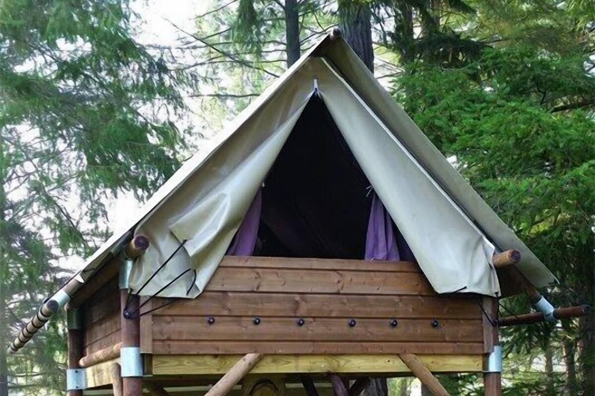 帳棚 (Bivouac)