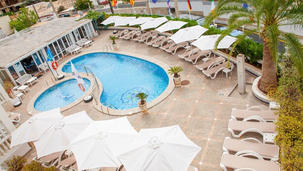 Zona de piscina con sillas de descanso y sombrillas, rodeada de palmeras y banderas.