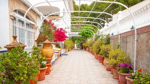 Un paseo techado bordeado de plantas en macetas y jarrones, que conduce a la entrada de un edificio.