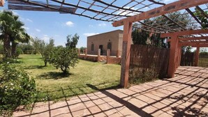 Un espace extérieur abrité, doté d’une pergola, avec un bâtiment en arrière-plan et une pelouse verdoyante.