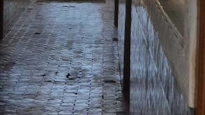Un couloir mène à un espace piscine doté d’un sol en pierre et offrant une vue sur la piscine.