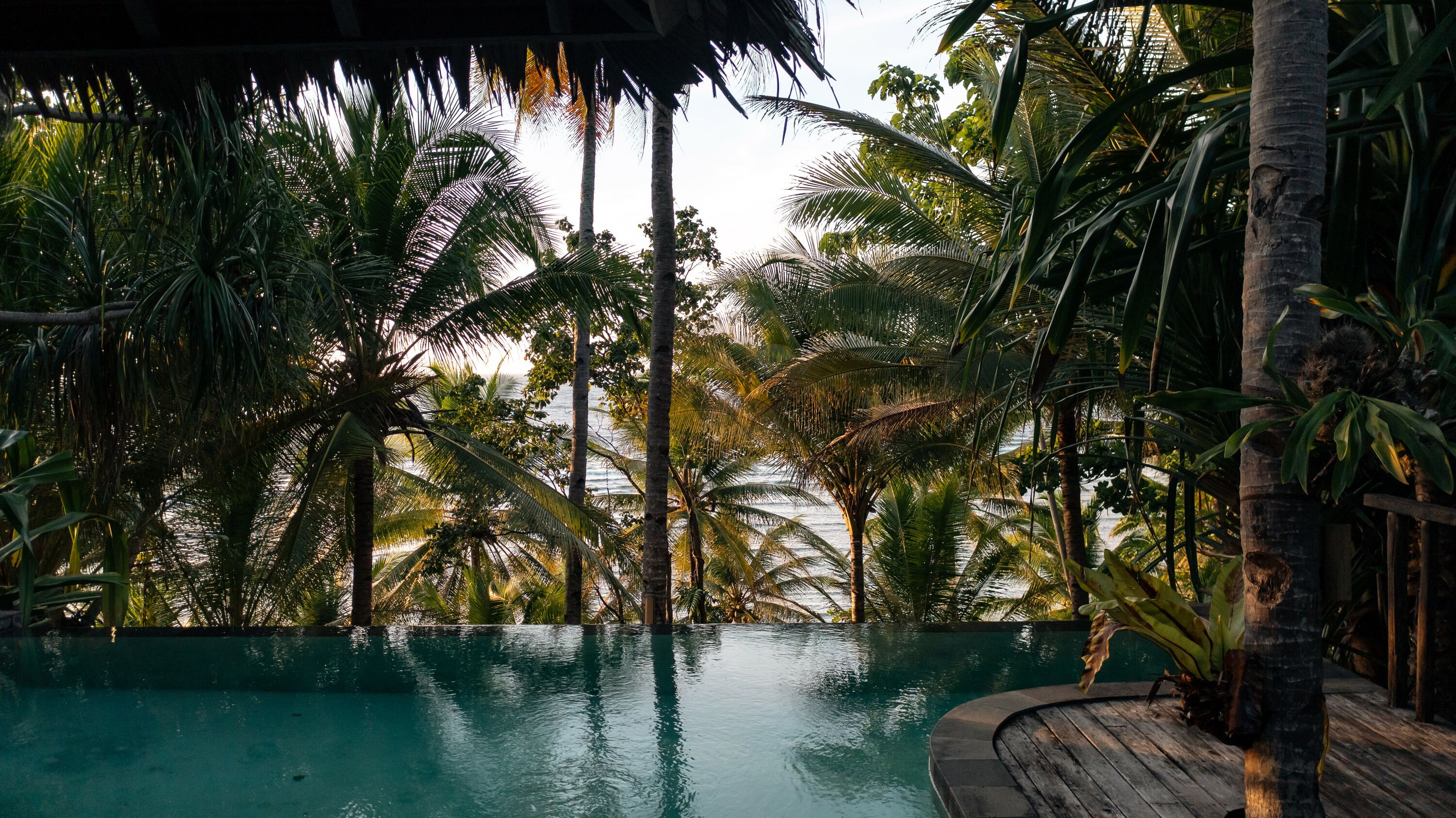 Piscina rodeada de vegetación tropical.