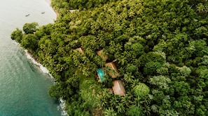 Vue aérienne d’une île tropicale, avec une végétation luxuriante de palmiers, une petite piscine et quelques bâtiments.