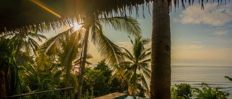 Alberca al aire libre y camastros