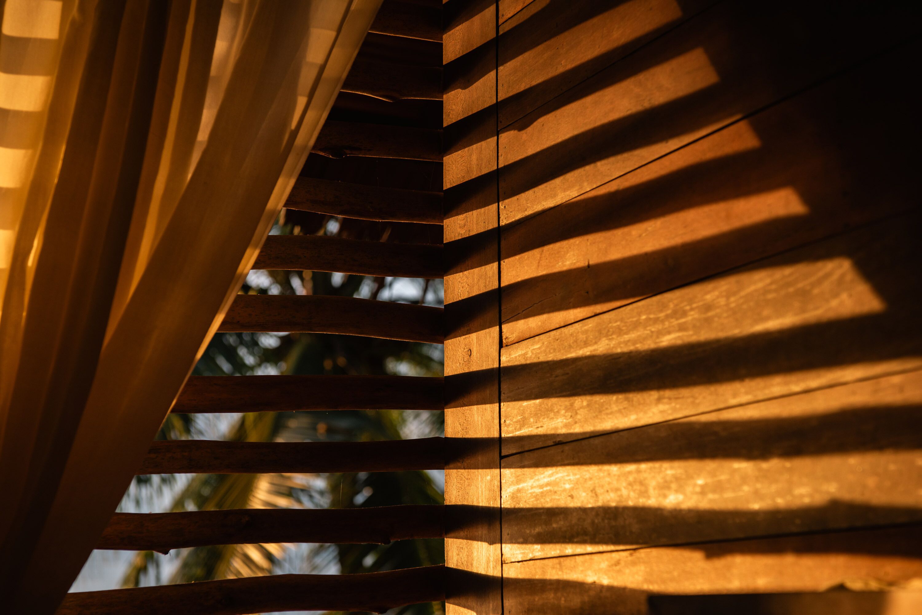 Un escalier en colimaçon avec des marches en bois, offrant une vue sur les palmiers à travers les interstices.