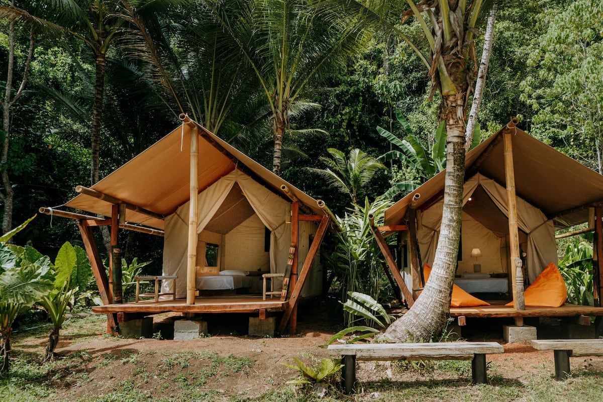 Duas acomodações em estilo de casa na árvore, com plataformas elevadas, rodeadas por folhagem tropical densa.