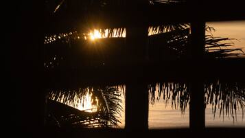 A view through a window with palm leaves, a sunset, and a body of water.