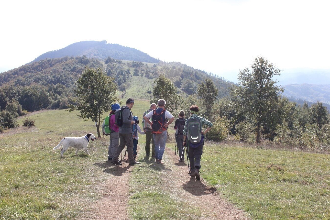 A group of hikers on a dirt path with a hilly landscape in the background.
