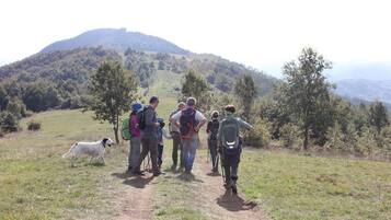 A group of hikers on a dirt path with a hilly landscape in the background.