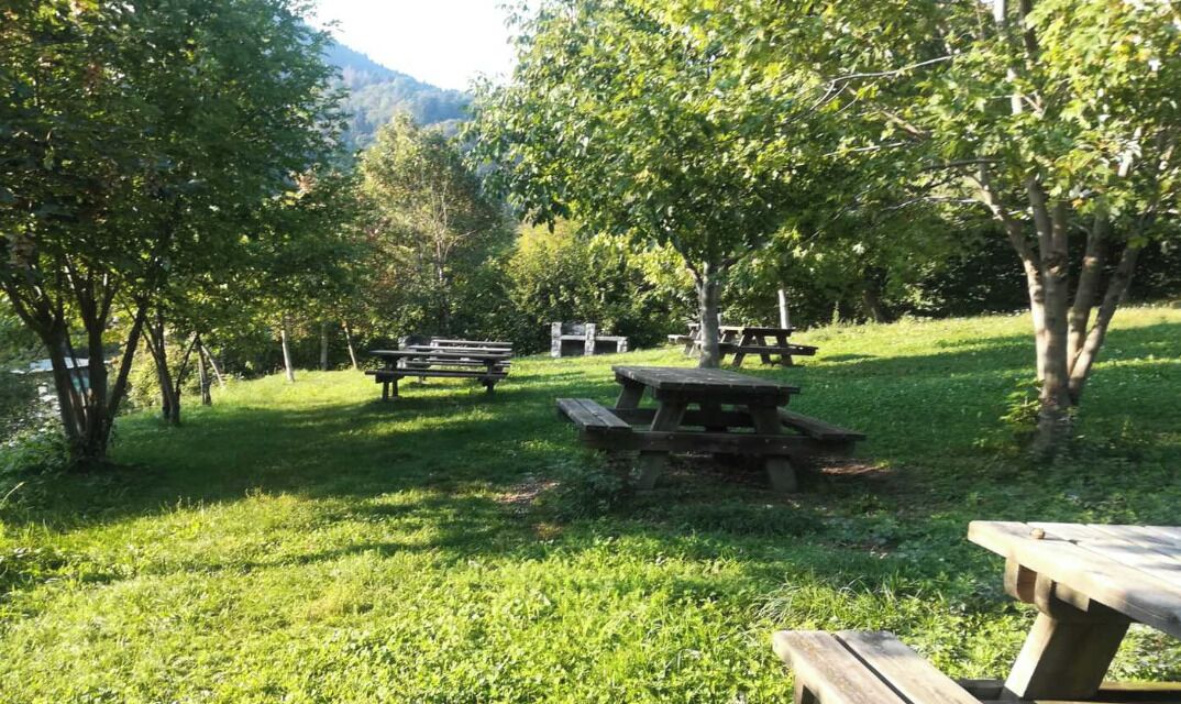 BBQ/picnic area