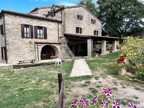 Exterior - Bio Agriturismo La Cerqua (Pietralunga)