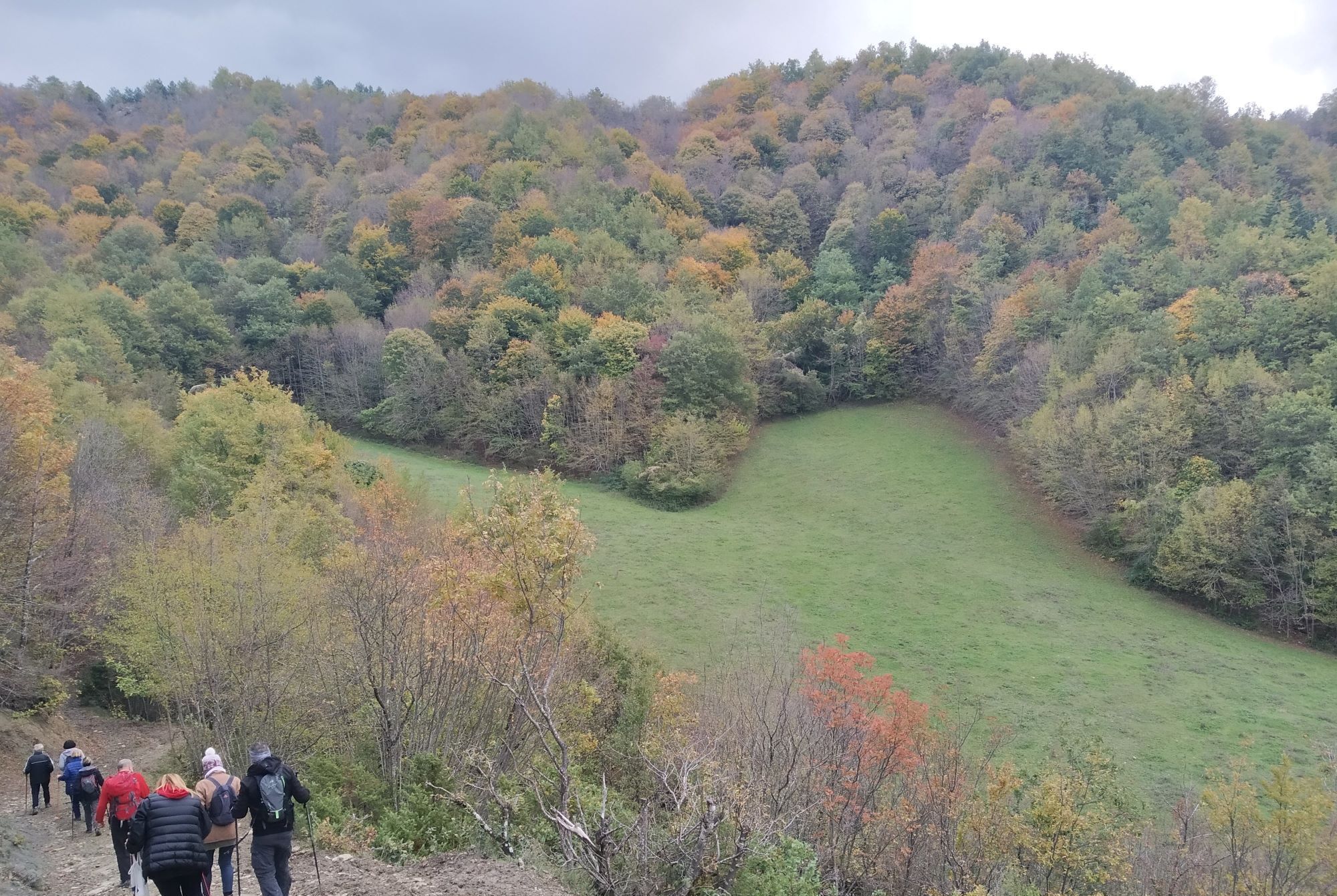 A group of hikers on a trail surrounded by a forested valley.