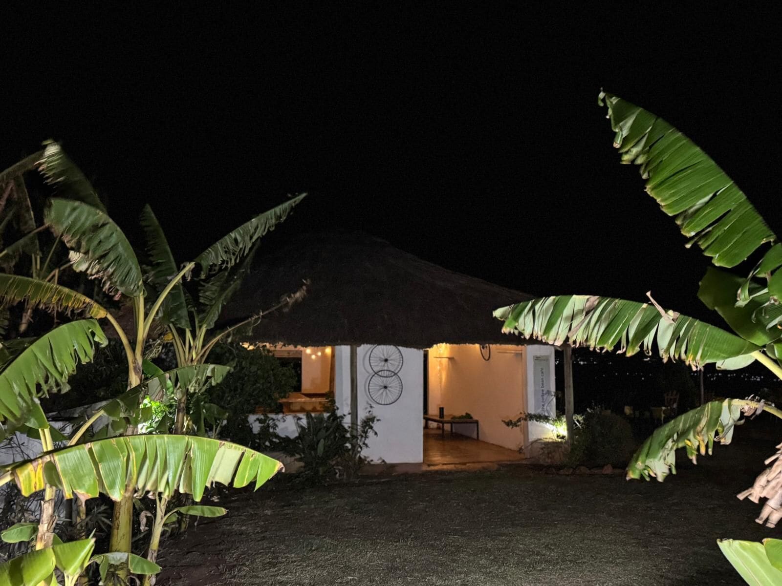 A thatched-roof structure with a circular window, surrounded by lush banana plants.