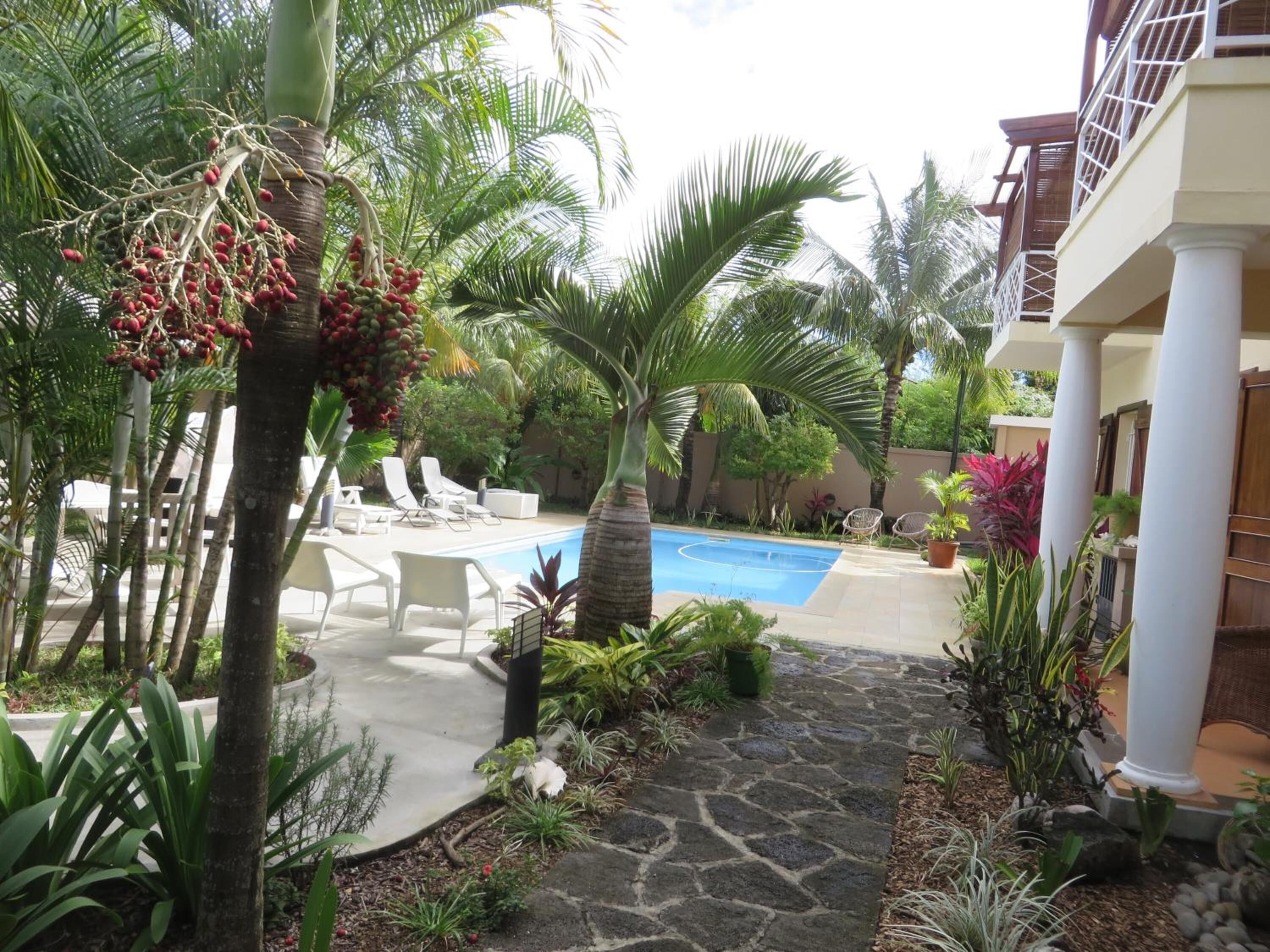 Área de piscina com espreguiçadeiras, uma palmeira e um caminho de pedra.