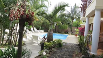 Área de piscina com espreguiçadeiras, uma palmeira e um caminho de pedra.