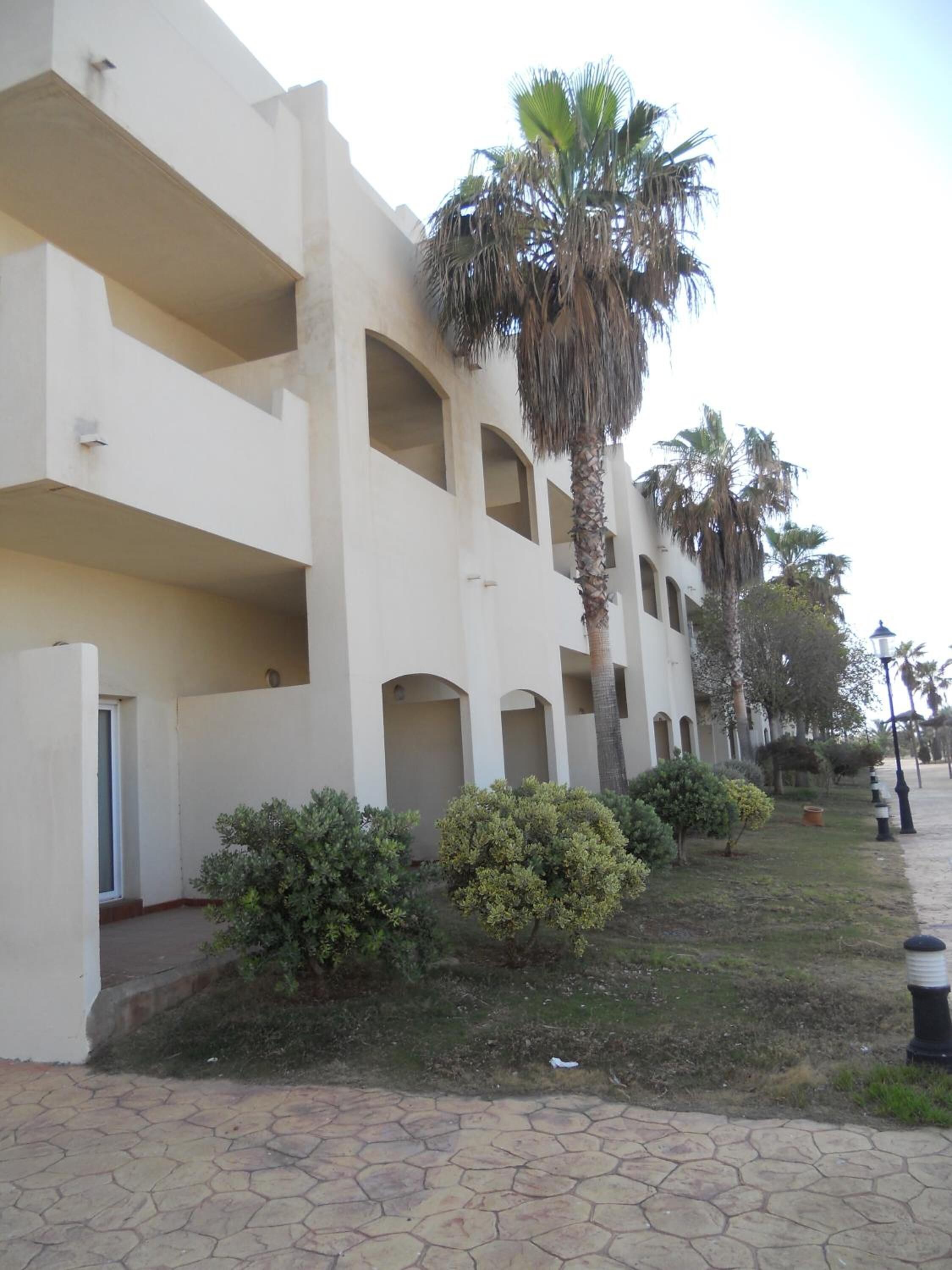Un edificio de varios pisos con balcones, palmeras y un sendero pavimentado.