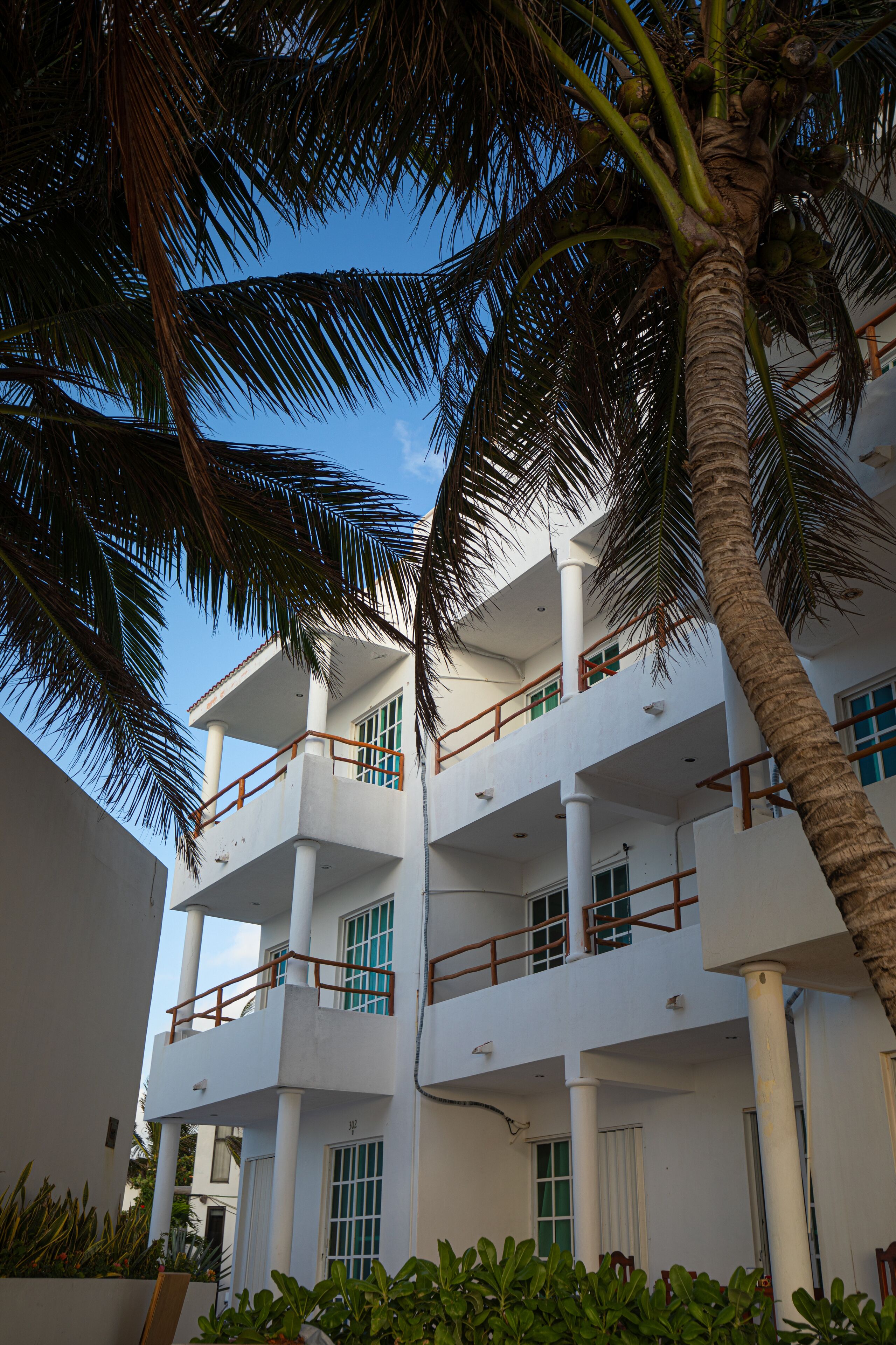 A multi-story building with balconies and a palm tree in the foreground.