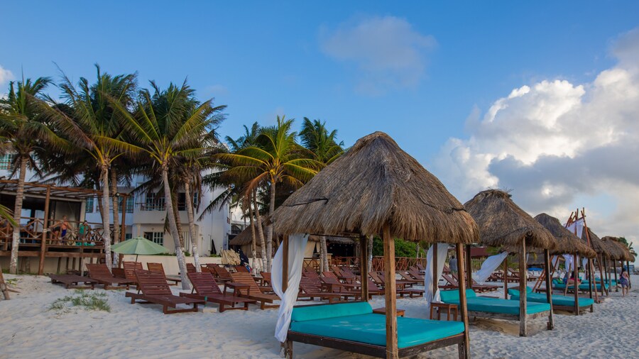 Hotel & Beach Club Ojo de Agua