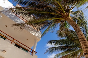 Exterior - Hotel & Beach Club Ojo de Agua (Puerto Morelos)