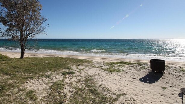 Ein Strand mit einem Baum, einem schwarzen Gegenstand im Sand und dem Meer im Hintergrund.