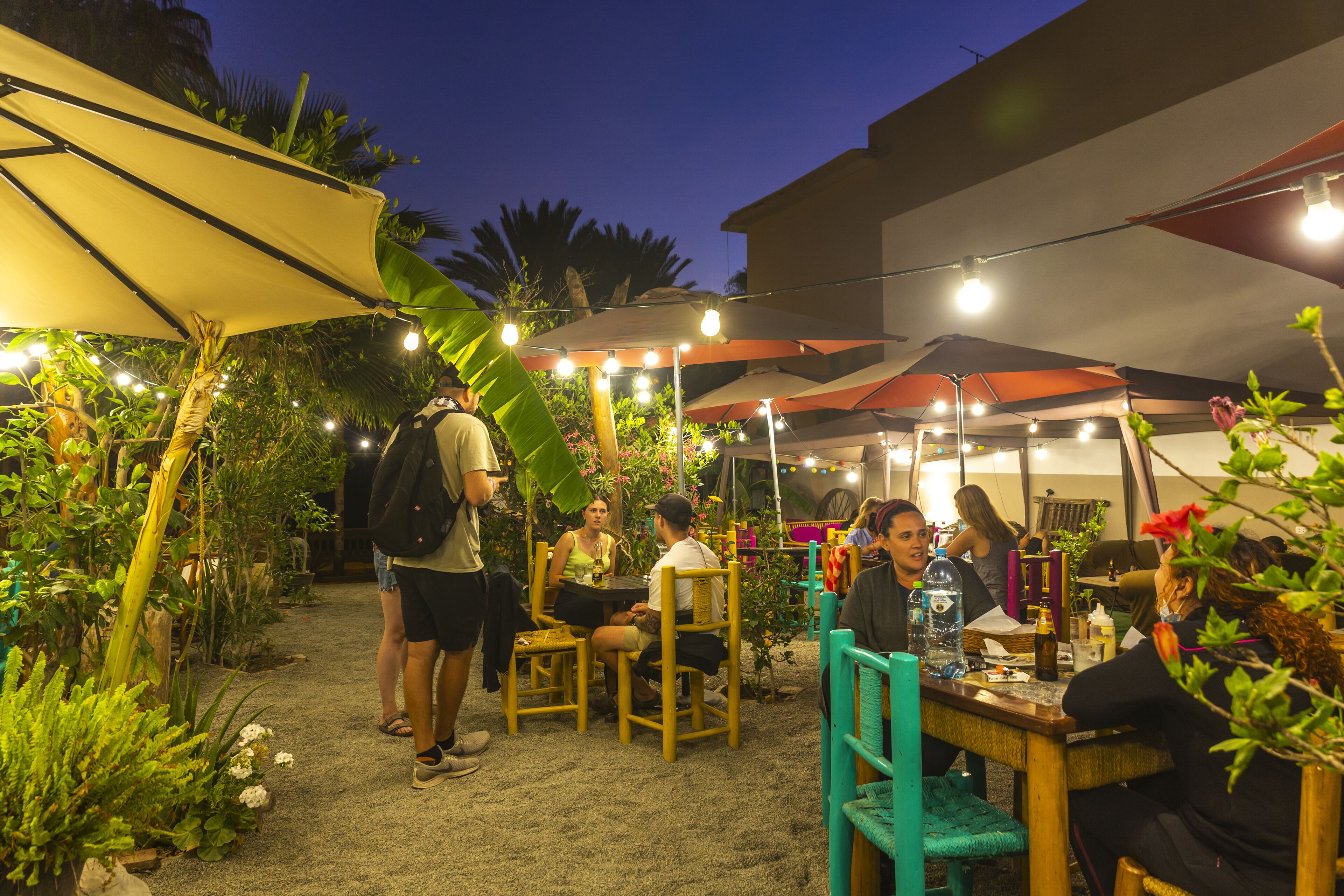 An outdoor patio area with tables and chairs, surrounded by plants and umbrellas.