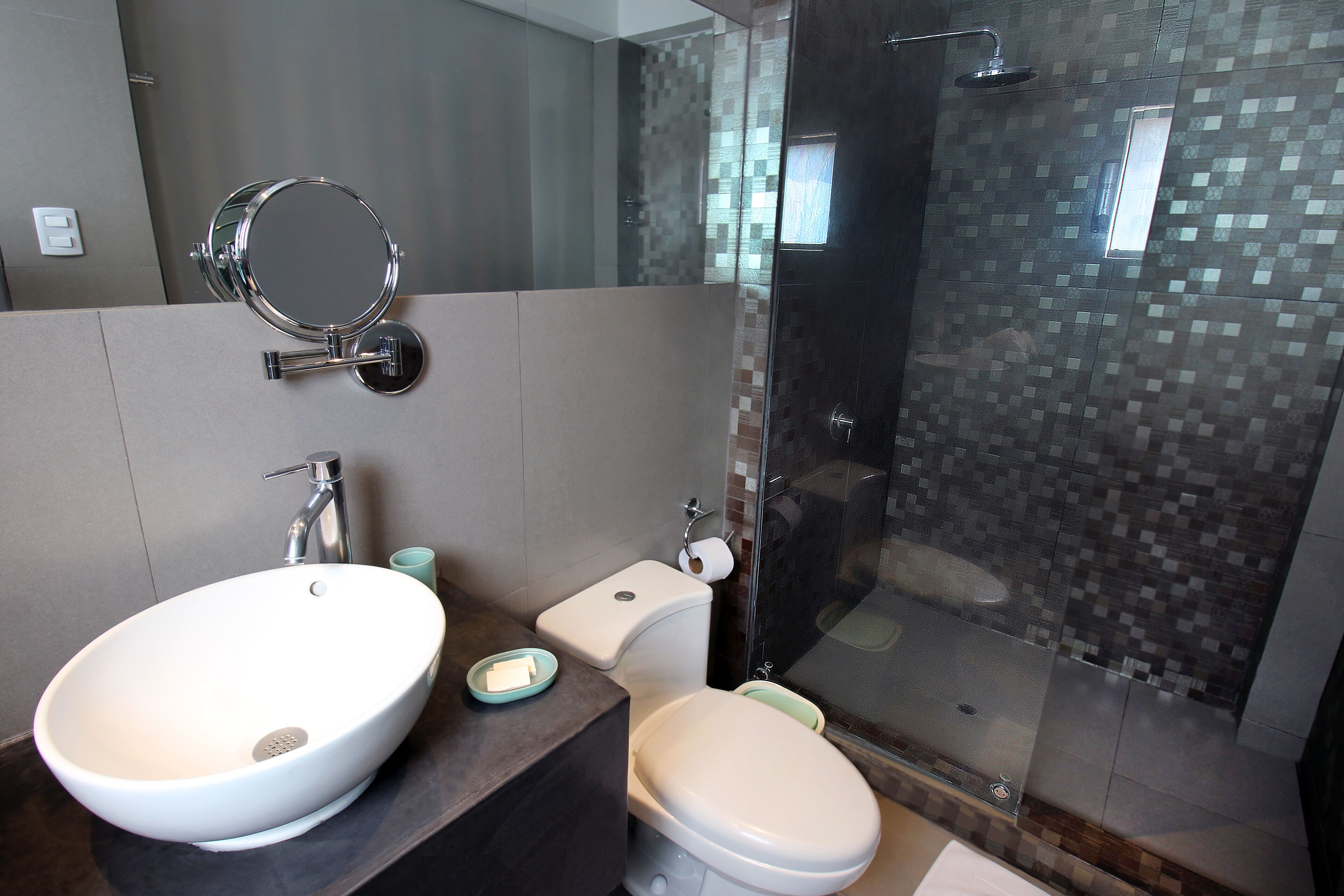 Un baño moderno con un lavabo blanco grande, un inodoro y una ducha con mampara de vidrio.