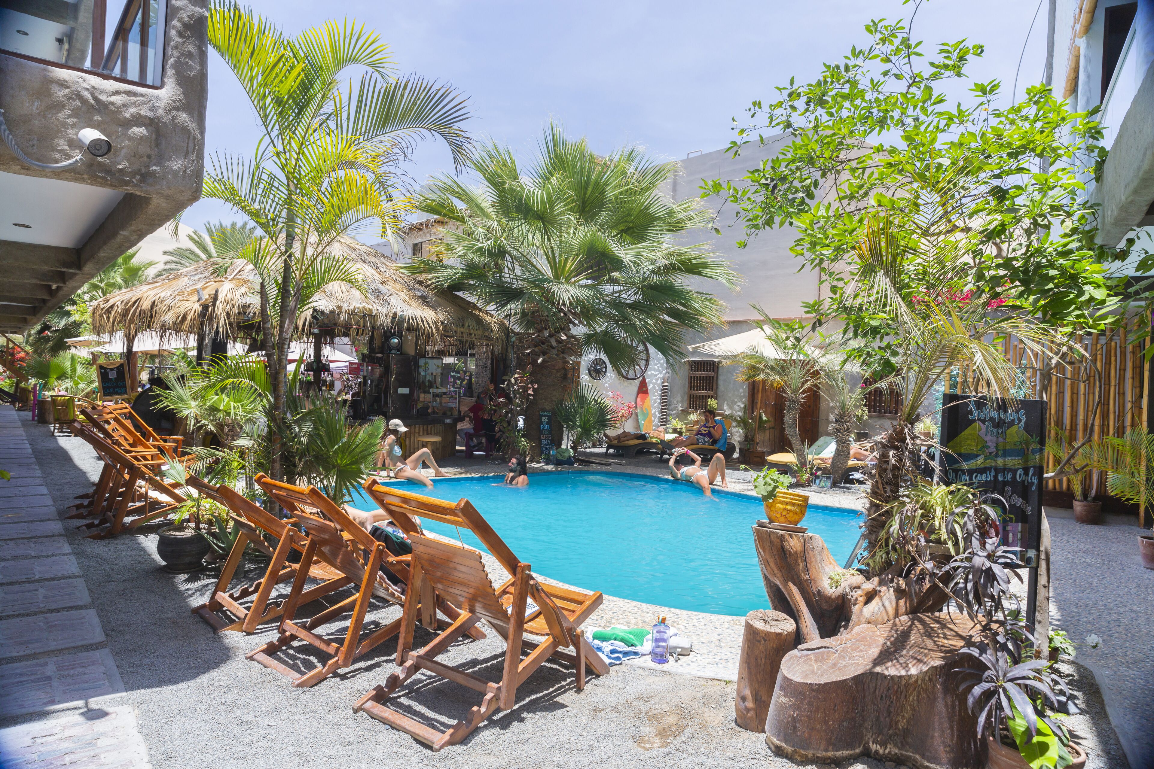 Zona de piscina con sillones de madera, palmeras y una estructura con techo de paja.
