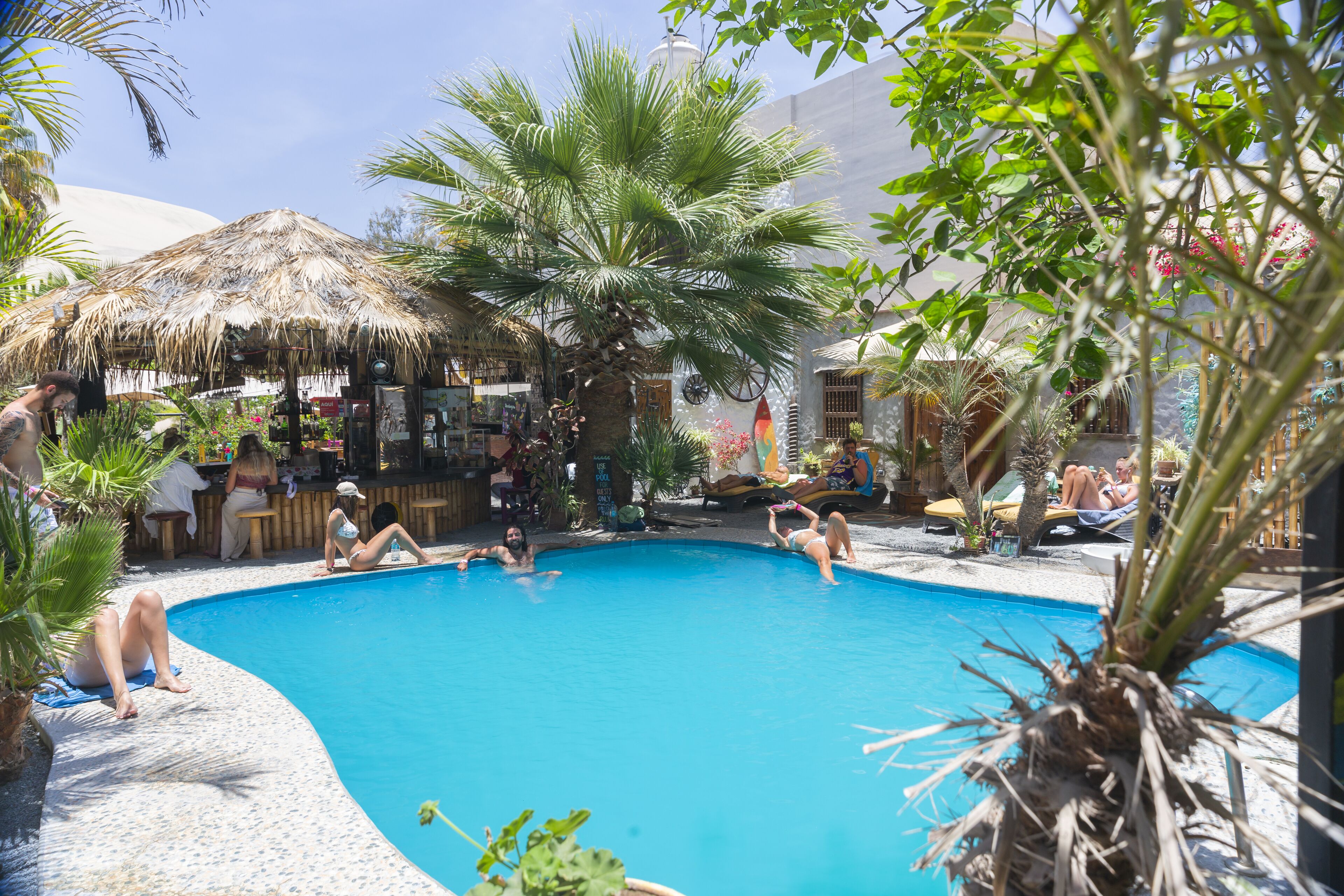 A pool area with a thatched-roof bar, palm trees, and lounge chairs.