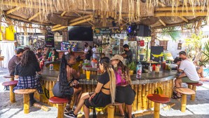 A tropical bar with bamboo seating and a thatched roof, surrounded by palm trees. - Bananas Adventure Hostel (Ica)