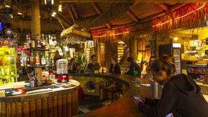 A bar area with a wooden counter, various bottles, and a blender. - Bananas Adventure Hostel (Ica)