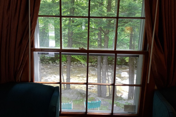 Basic Room, River View | Water view
