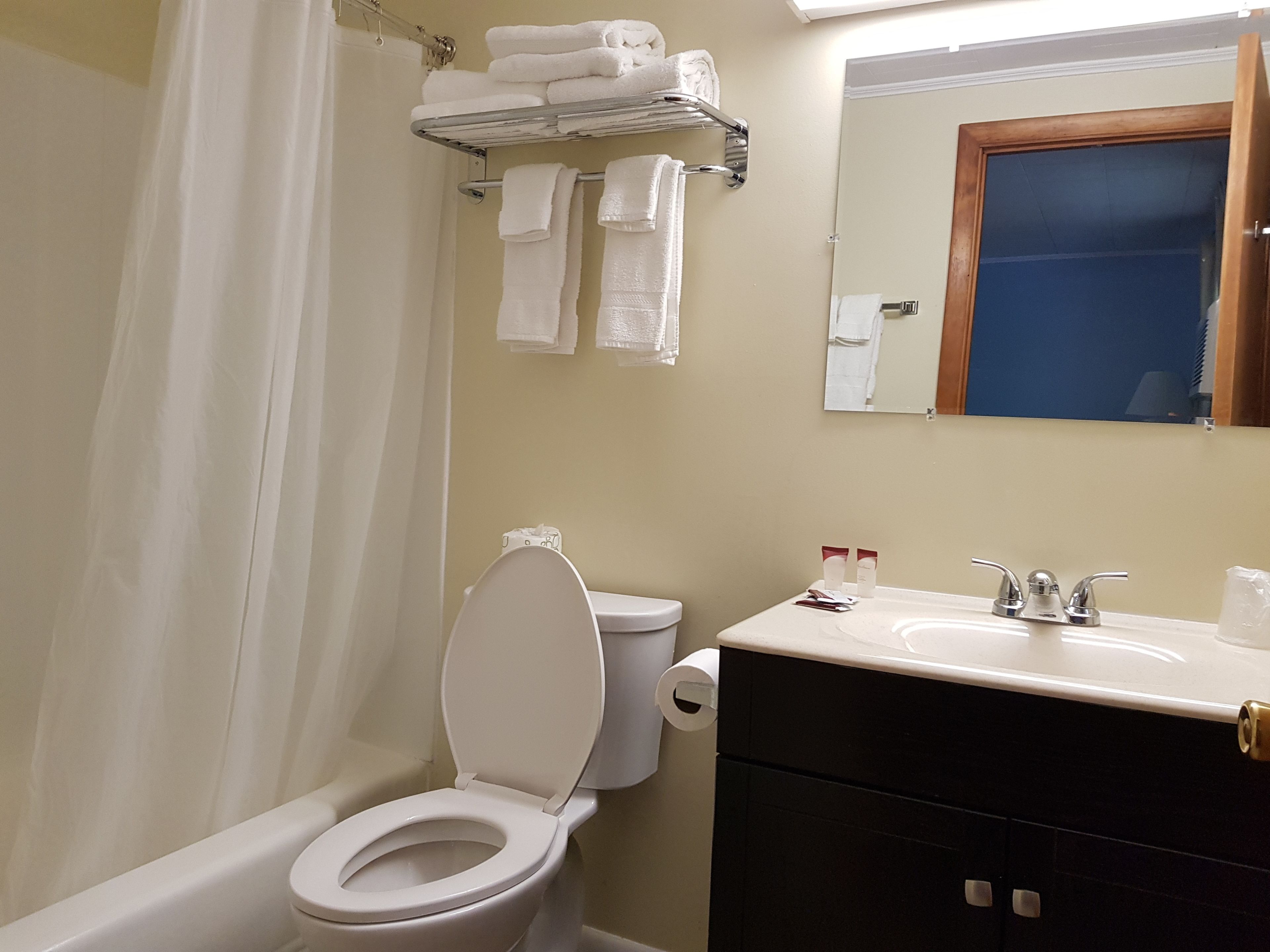 A bathroom with a toilet, sink, and towel rack.