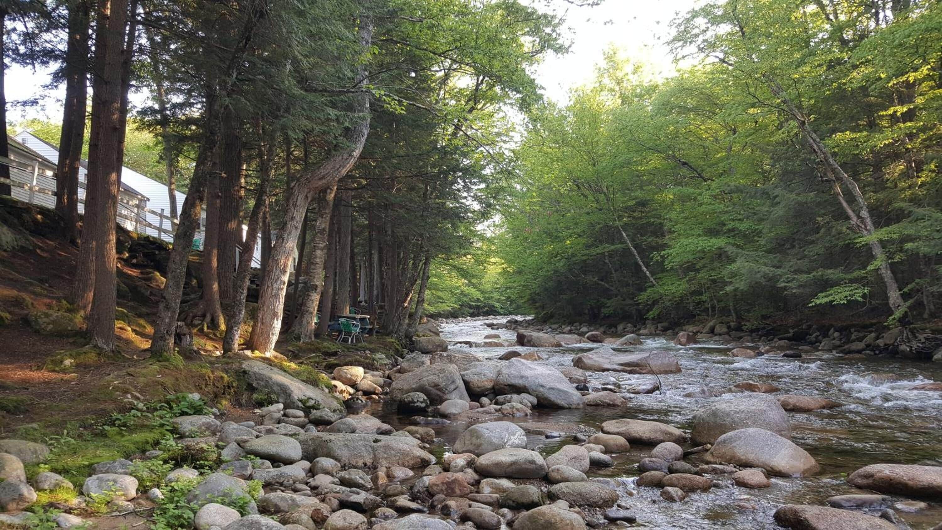 A river with rocks and trees.