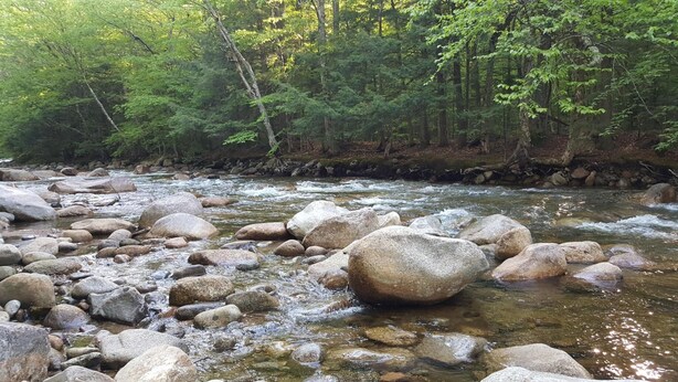 A river with large rocks and a forested area in the background. - Franconia Notch Motel (Lincoln)