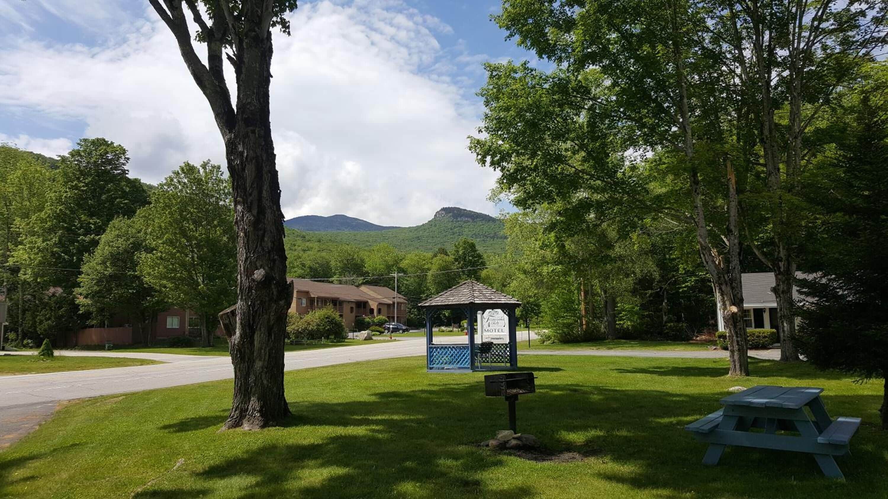 Um motel com um gazebo, mesa de piquenique e montanhas ao fundo.