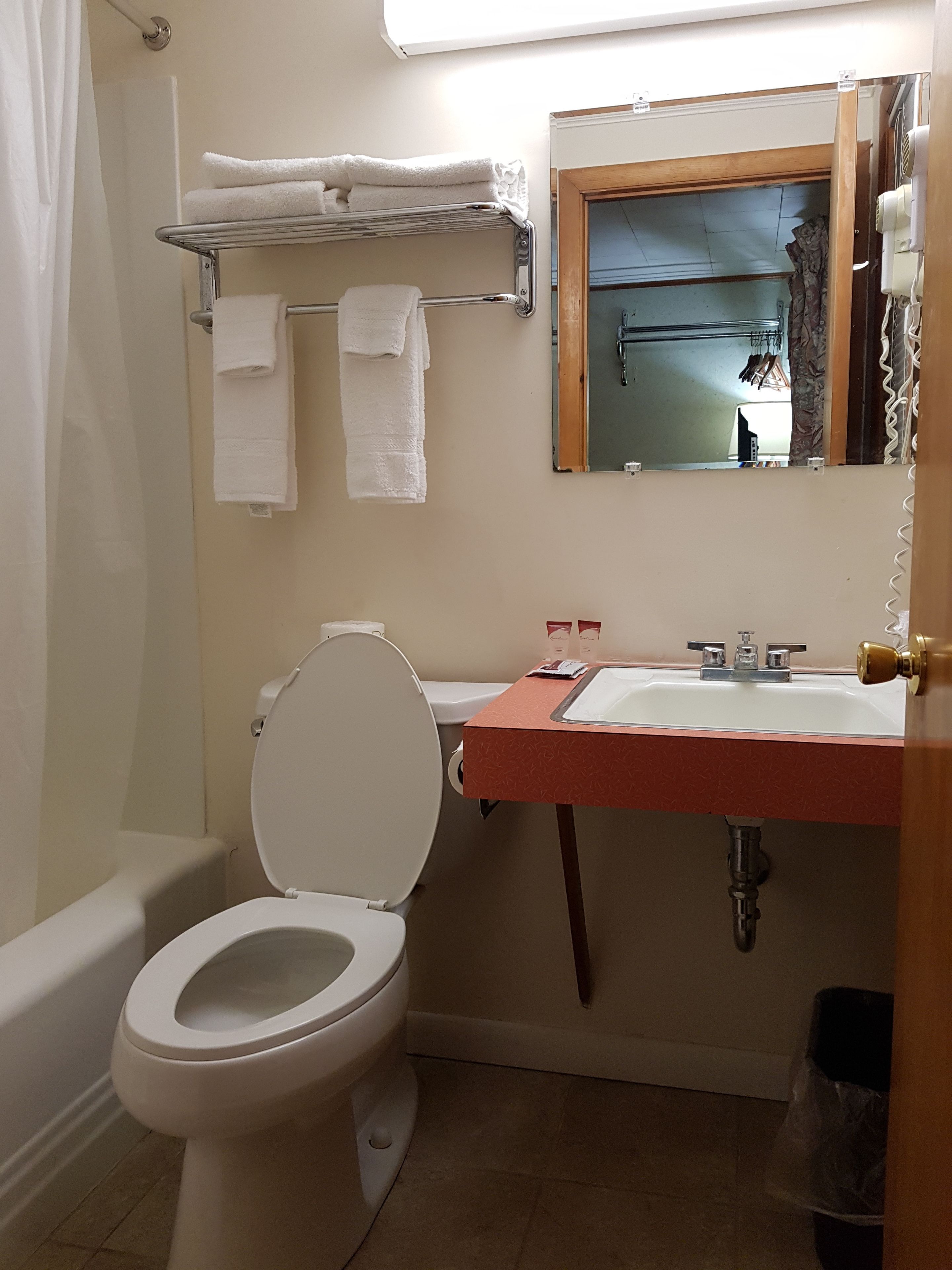 A bathroom with a toilet, sink, and a towel rack.