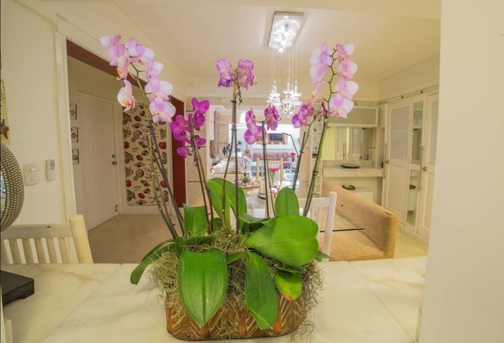 Chi tiết nội thất