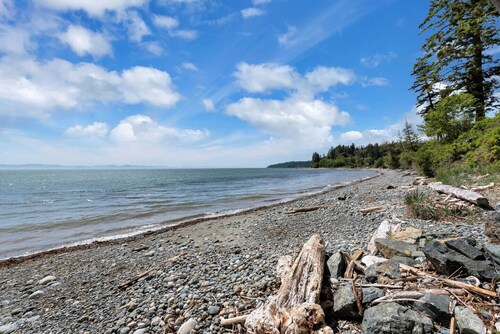 Family-friendly Beach House with Private Beach; ocean minutes outside the door!