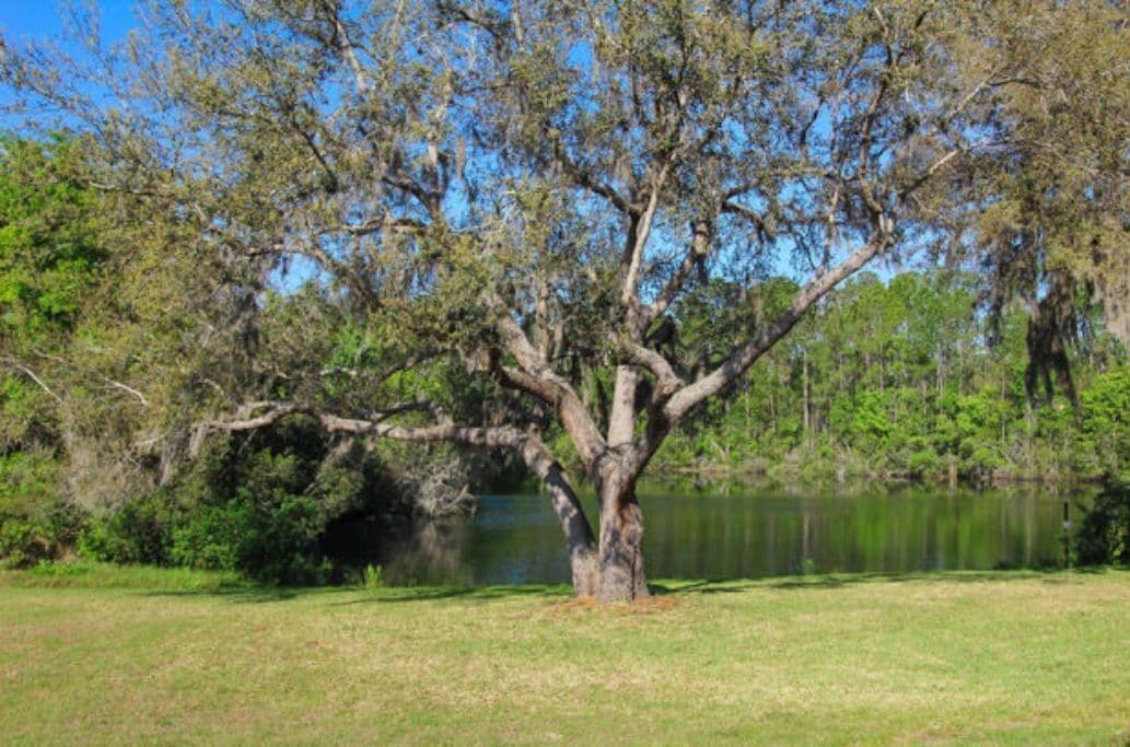 Belle Villa with a gorgeous lake view