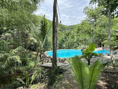 Aqua Ceiba