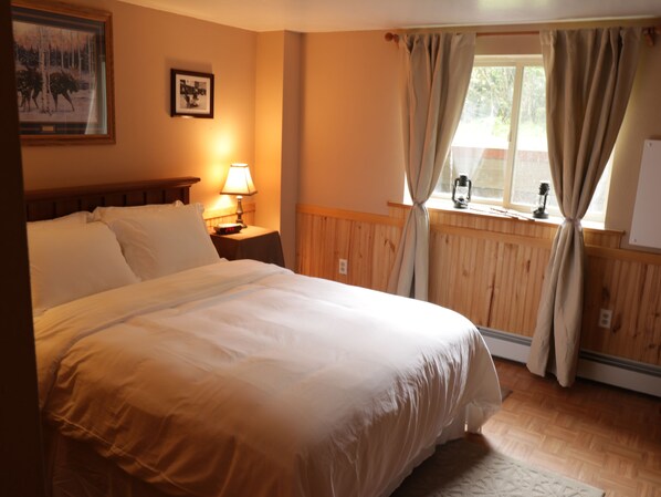 Kamar Double Deluks, 1 Tempat Tidur Queen, Bebas Asap Rokok, lemari es & microwave | Seprai premium, bantalan ekstra lembut, dan didekorasi berbeda-beda