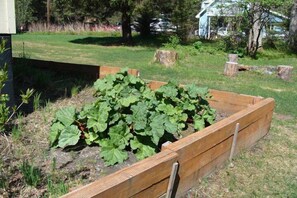 Garden - Alaska Dreamin' Lodging (Seward)