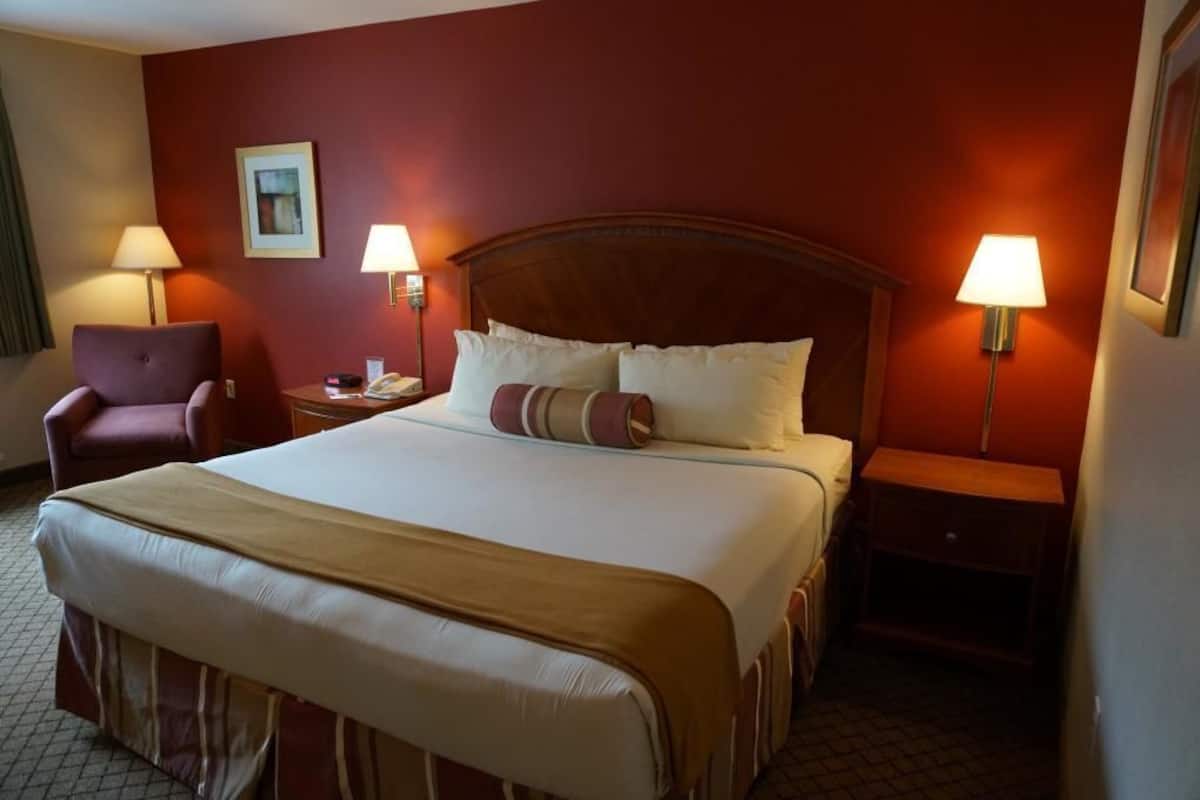 Quarto de hotel com uma cama grande, duas luminárias de cabeceira, uma poltrona, mesa de cabeceira e um quadro na parede.