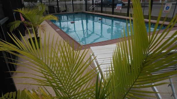 A swimming pool with a tiled edge, surrounded by palm trees and a wooden deck.